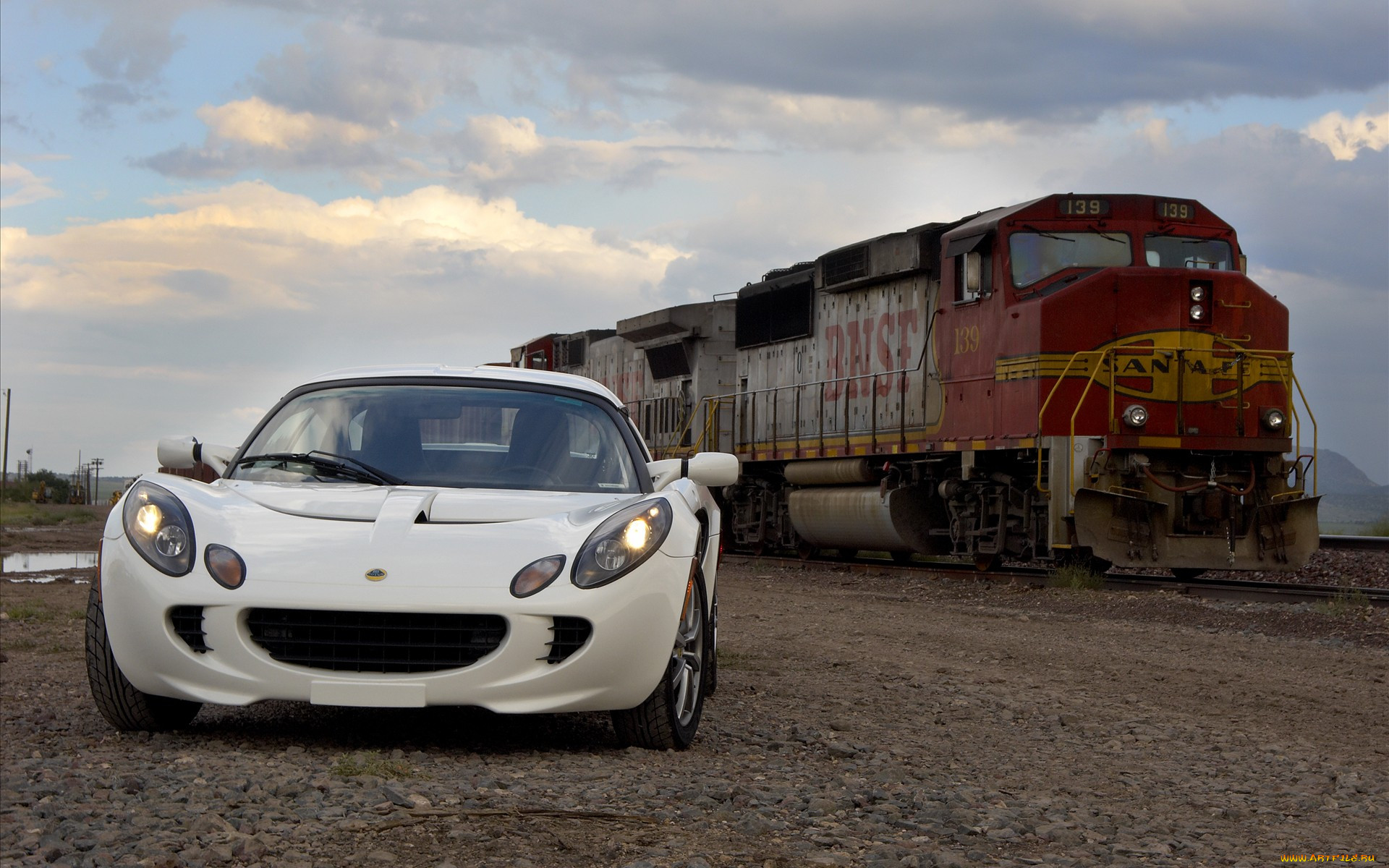 , lotus